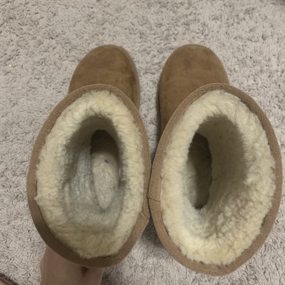 short brown uggs size 7 #uggs